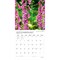 Plato; Wildflowers | 2027 12 x 24 Inch (Hanging) Monthly Square Wall Calendar | Foil Stamped Cover; Category:Wall Calendars; Image:5